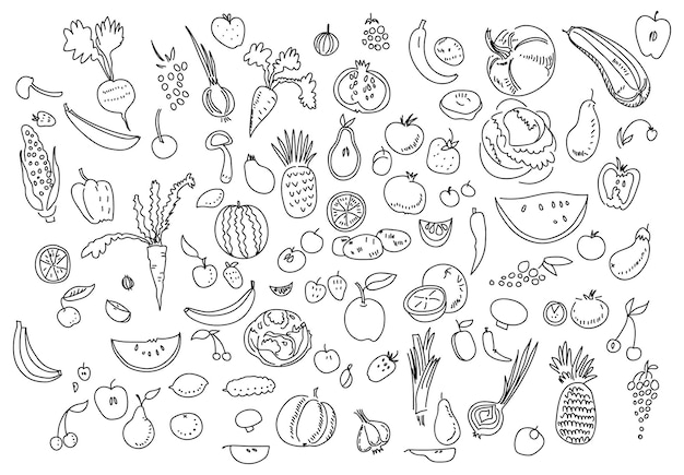 Verduras dibujadas a mano doodle boceto en blanco.