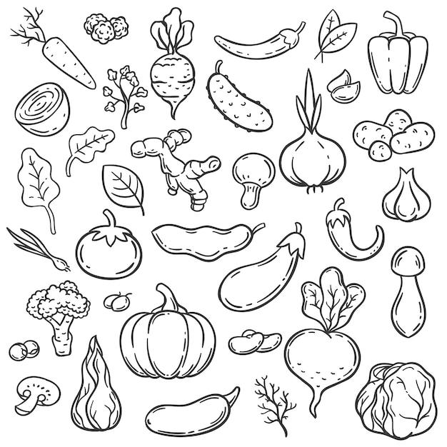 Verduras de Doodle. Dibujado a mano diferente zanahoria, cebolla y pepino. Conjunto de vectores de alimentos vegetales de jengibre, champiñones y ajo, repollo y tomate. Ilustración de repollo y berenjena, pepino y pimiento