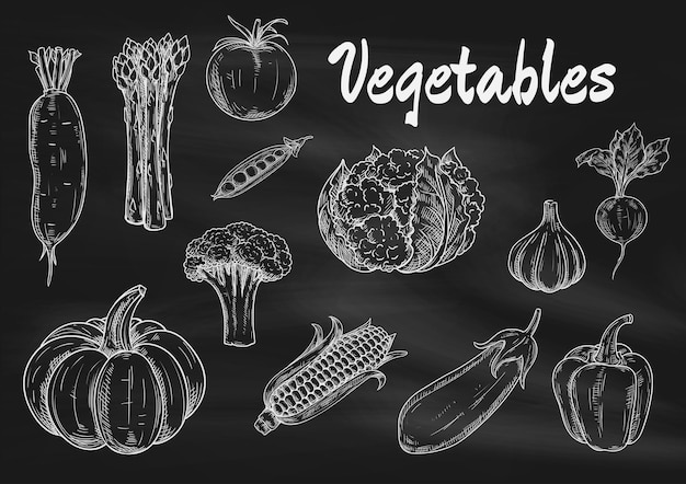 Verduras esbozadas con tiza vectorial en la pizarra