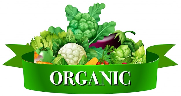 Vector verduras frescas con banner