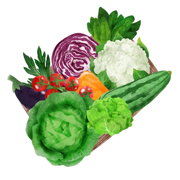Vector verduras frescas en caja de madera vector dibujado a mano