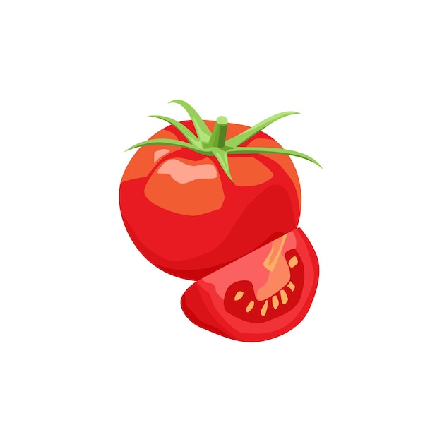 Verduras frescas Tomate aislado vector fondo blanco.