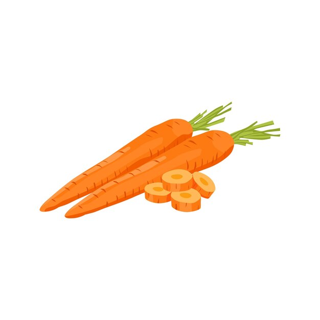 Verduras frescas Zanahoria vector aislado en fondo blanco