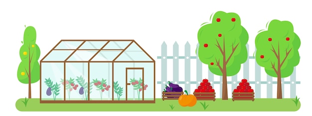 Verduras, frutas e invernadero en el jardín. Concepto de jardinería y cosecha. Ilustración de banner o fondo de otoño o verano.