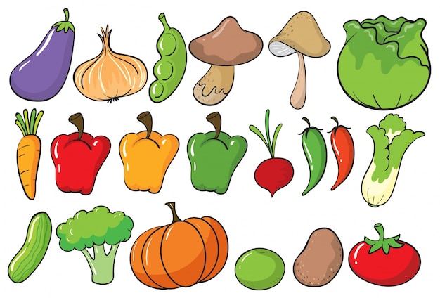 Verduras y hortalizas