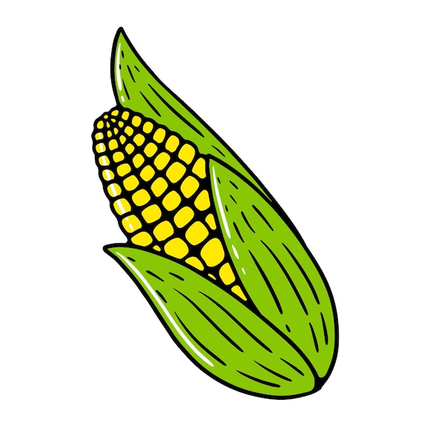 Verduras y hortalizas