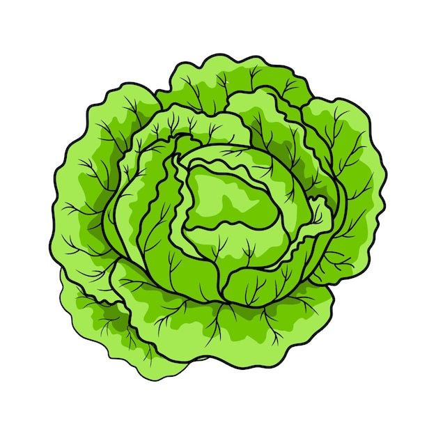 Verduras y hortalizas