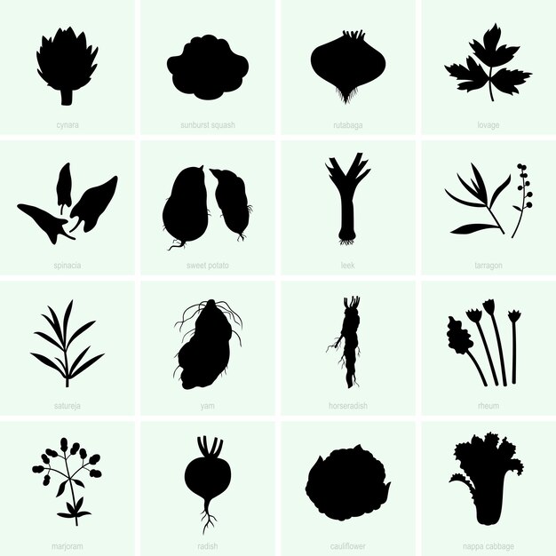 Verduras (juego 2)