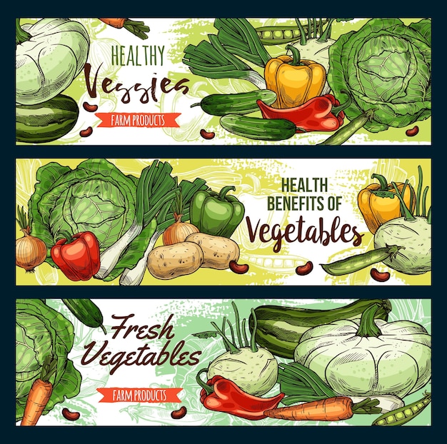 Verduras orgánicas comida vegetariana saludable