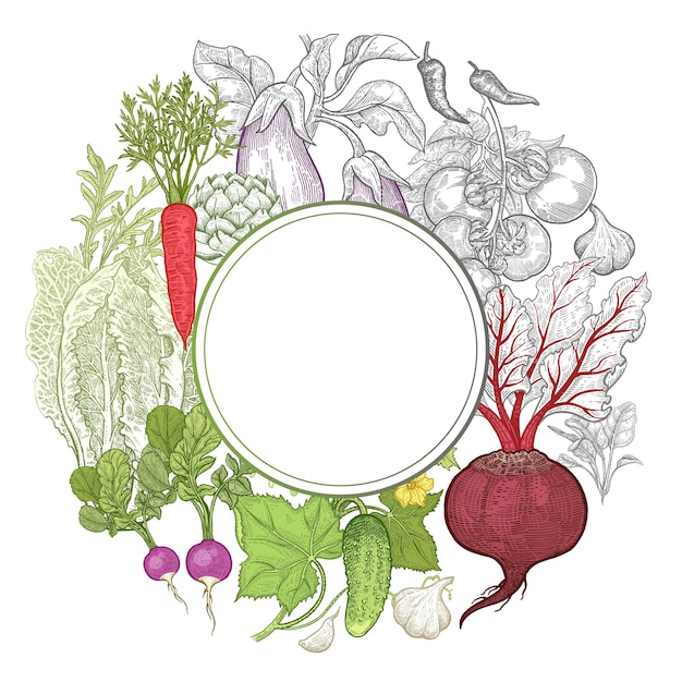 Verduras Pepino Tomate Rábano Zanahoria Remolacha Alcachofa y espacio para texto