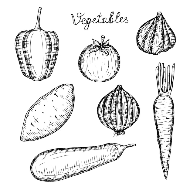 Verduras set vector ilustración mano dibujo boceto