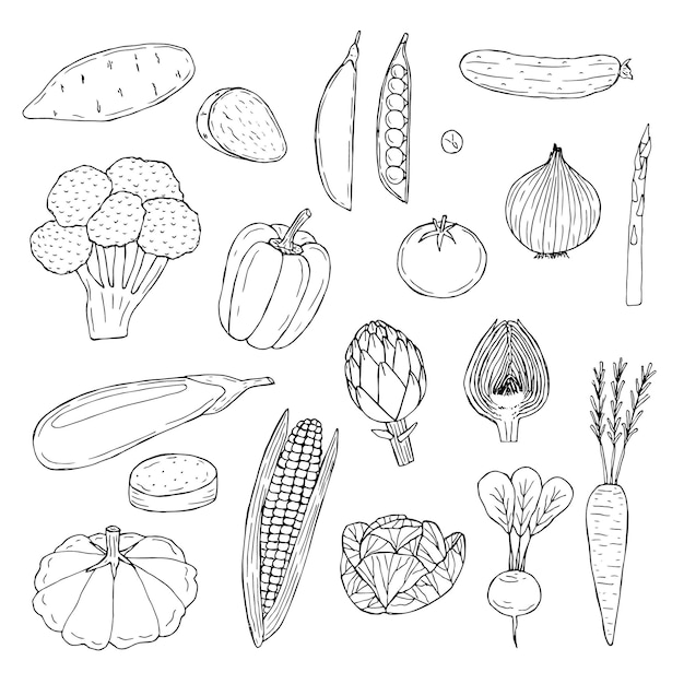 Verduras set vector ilustración mano dibujo boceto