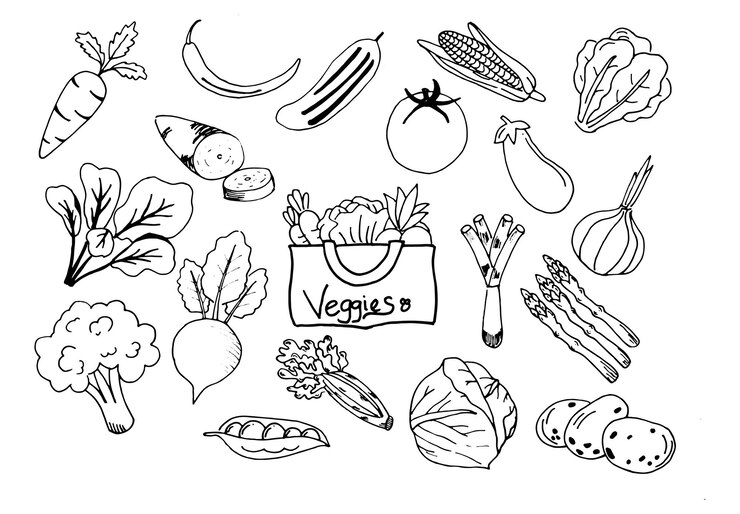 verduras simples dibujadas a mano