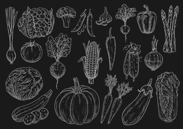 Verduras vector tiza dibujo iconos aislados conjunto