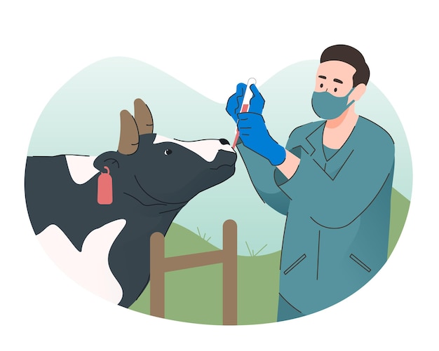 Vector veterinario dando medicina a una vaca