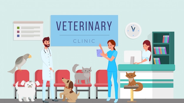 Vector veterinarios profesionales que controlan animales domésticos