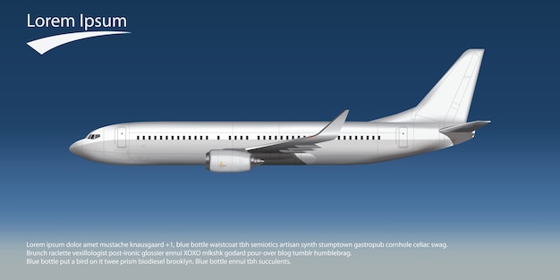 Vector viaje en avión con alta seguridad