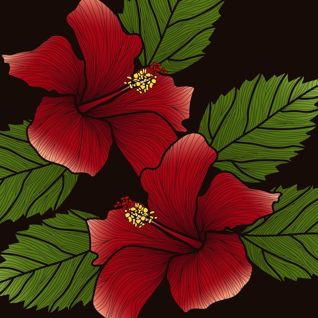 Vibraciones tropicales flor hibisco Vector ilustración