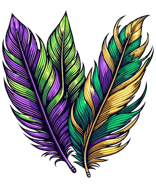 Vector vibrantes y coloridas plumas de mardi gras dibujadas a mano 52