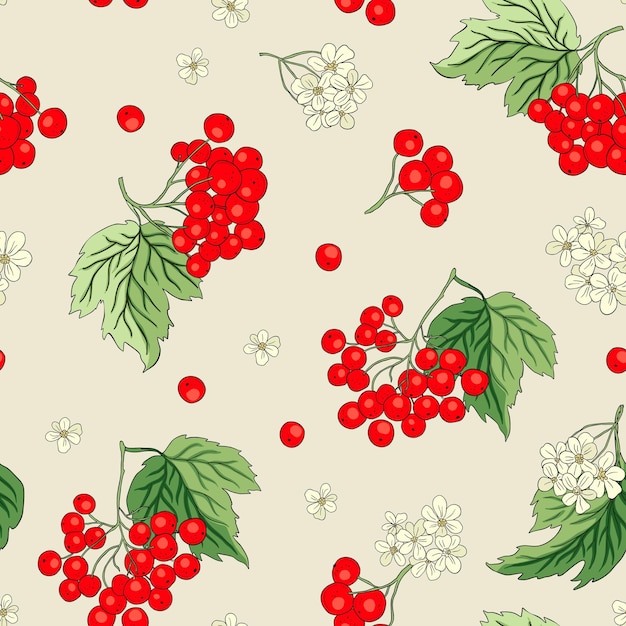 Viburnum rowan flor de bayas rojas fondo de patrón vectorial sin costuras ramo de frutas florales de otoño