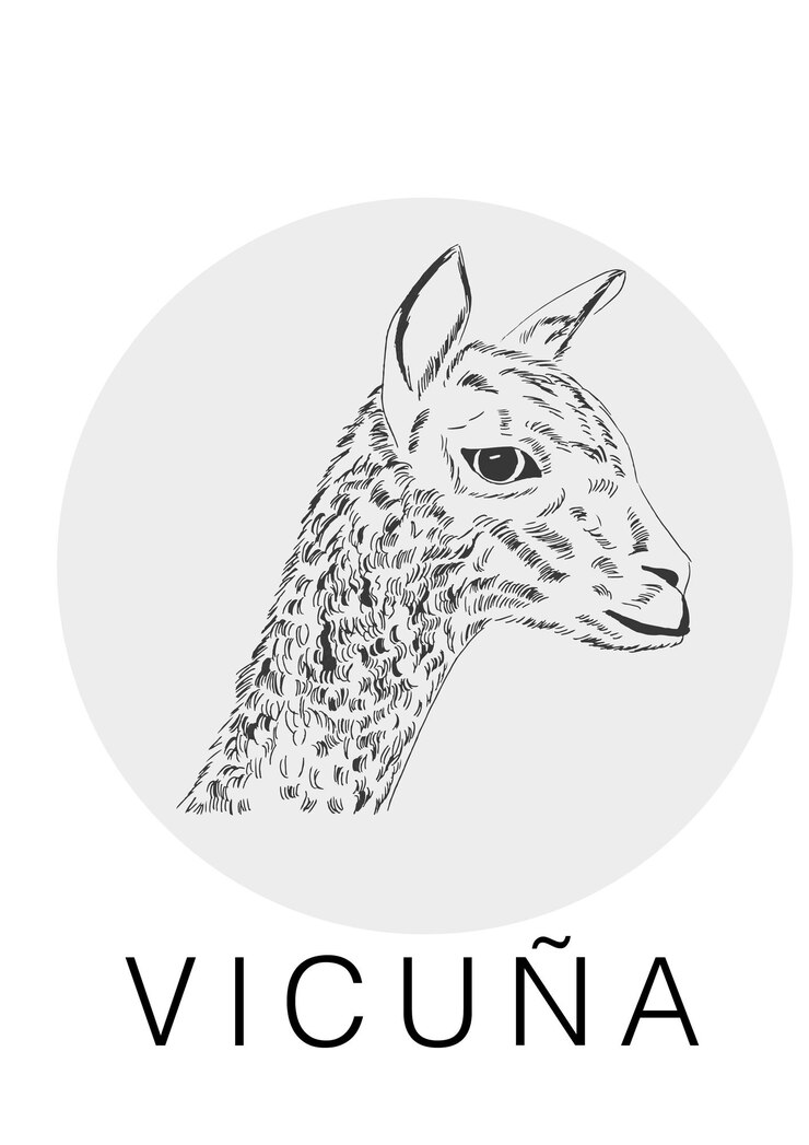 Vector vicuña