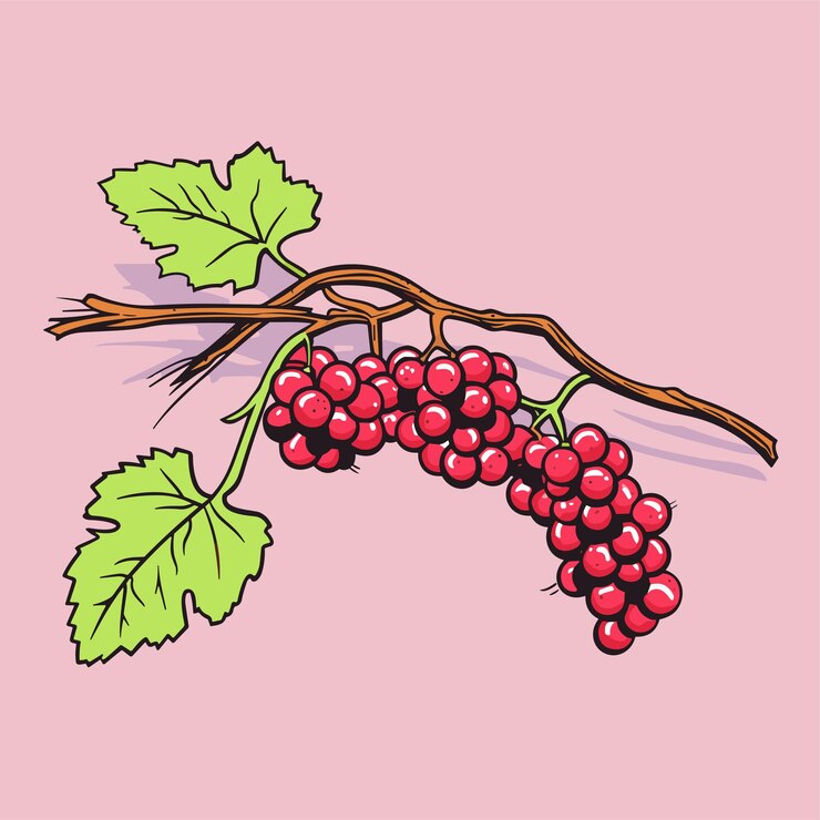Vector vid de uva o rama de uva elemento decorativo ilustración vectorial ramita de uva colgante aislada con hojas verdes y bayas rojas