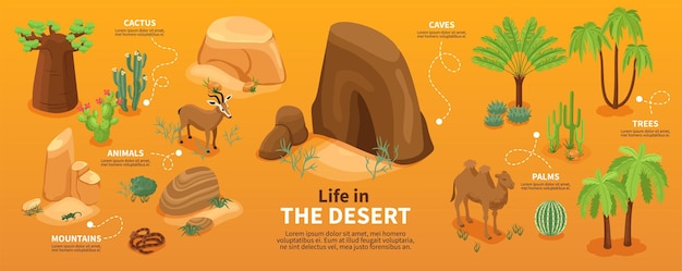 Vector la vida en los elementos del desierto.