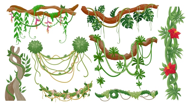 Vector vides de la selva. ramas de árboles tropicales con cuerdas de lianas colgantes, musgo verde, hojas de plantas exóticas y flores. flora de la selva tropical, conjunto de vectores de vid. ilustración rama y bosque de la selva de árbol, hoja verde