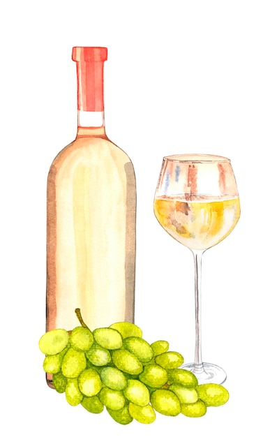 Vector vidrio y botella llena de vino blanco y uva.