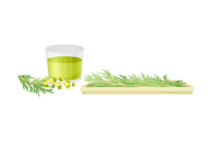 Vector vidrio con composición vectorial de extracción vegetal de algodón fresco o de madera del sur