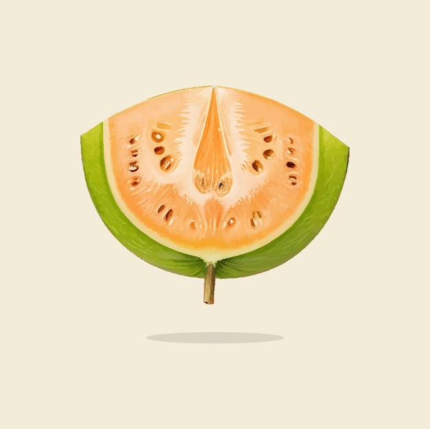 Vieja ilustración de Melón