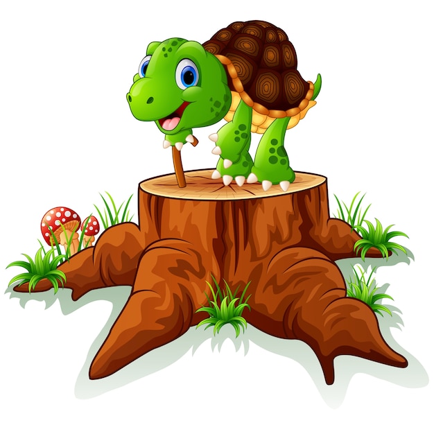vieja tortuga posando en tocón de árbol