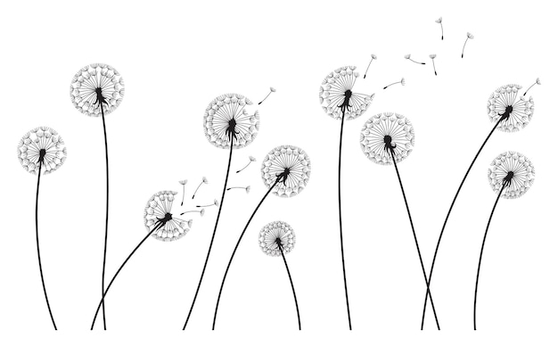 El viento del diente de león sopla el fondo silueta negra con brotes de diente de León volando en blanco abstracto volando
