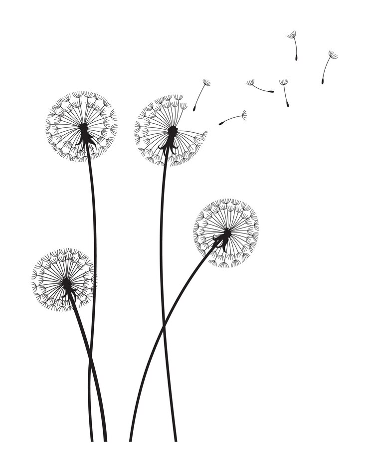 Vector el viento del diente de león sopla el fondo silueta negra con brotes de diente de león volando en blanco abstracto volando