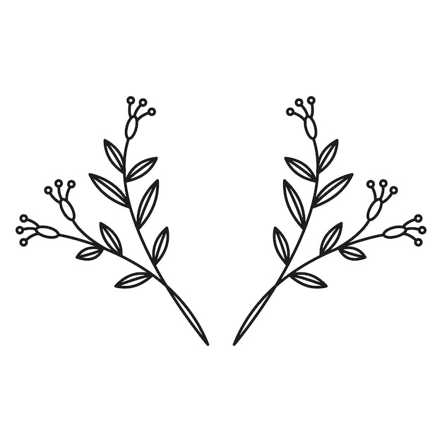 Viñeta de hierbas con flores.