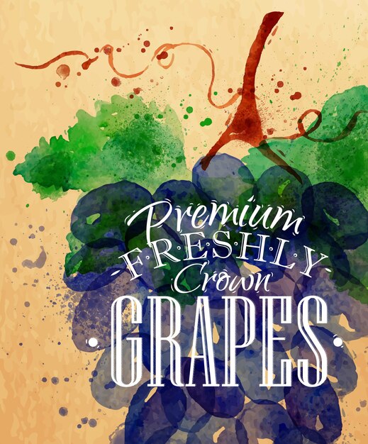 Vinilo acuarela uvas