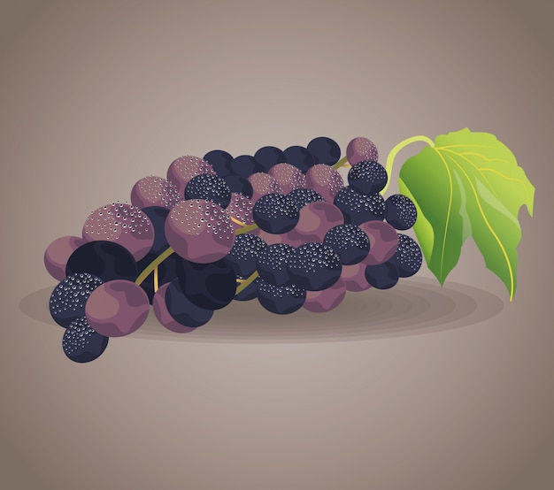 Vino de ingrediente de fruta de uva