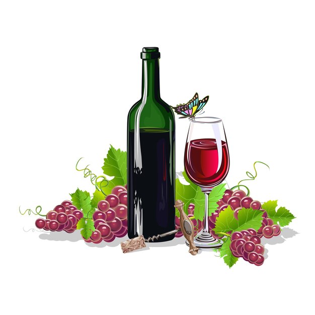 Vector vino y uvas