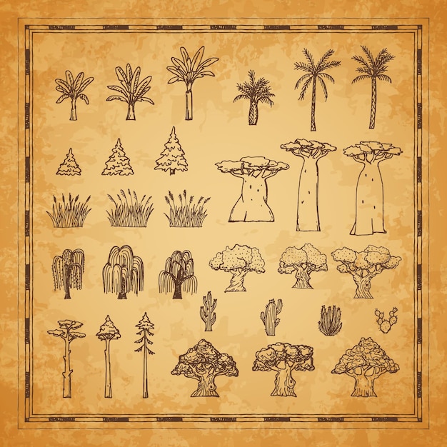 Vintage mapa planta árboles palmera baobab y cactus