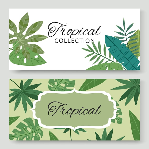 Vintage pancartas con hojas verdes tropicales y plantas exóticas ilustración. Invitación de la naturaleza. Botánica. Colección de pancartas decorativas tropicales naturales.