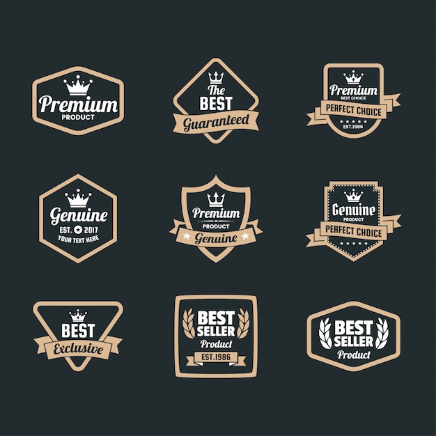 Vintage retro vector logo para banner