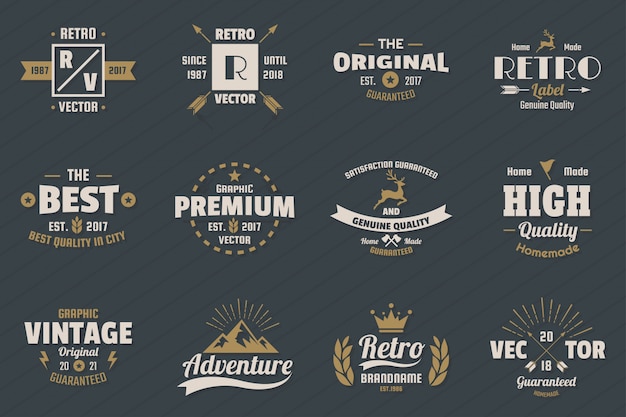 Vintage Retro Vector Logo