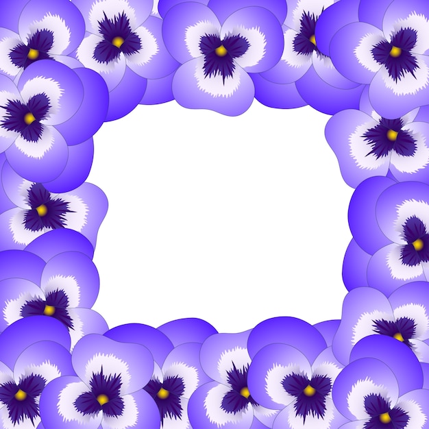 Vector violeta viola garden pansy flower border.