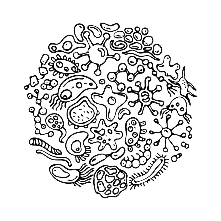 Vector virus y bacterias garabatos patrón de fondo en vector blanco