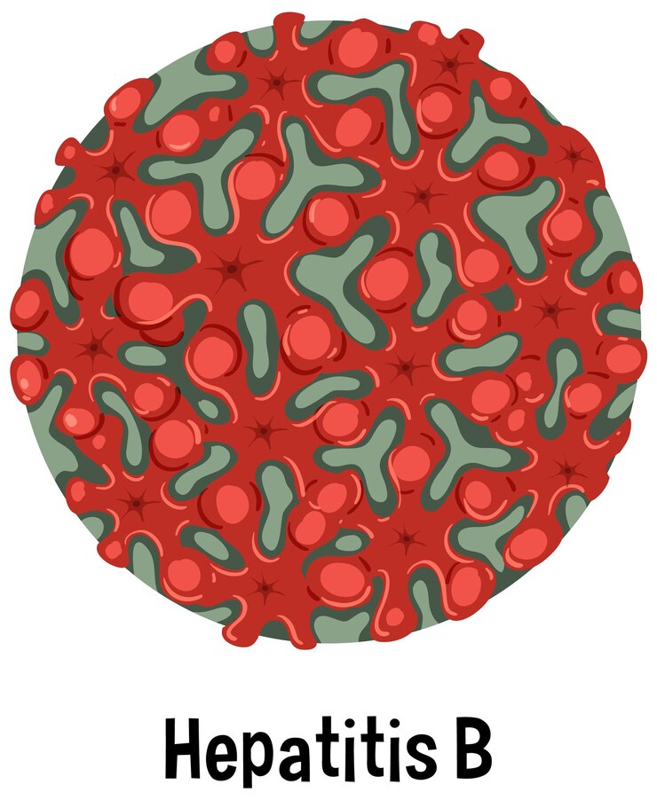 Vector virus de la hepatitis b con texto