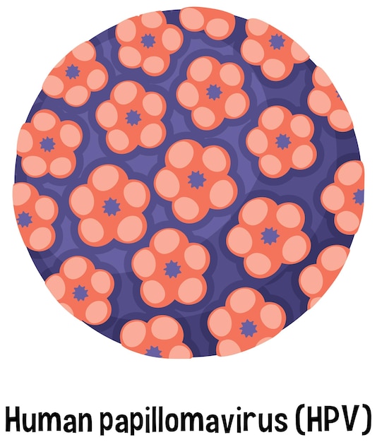 Vector virus del papiloma humano vph con texto