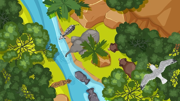 Vista aérea de la vida silvestre por el río