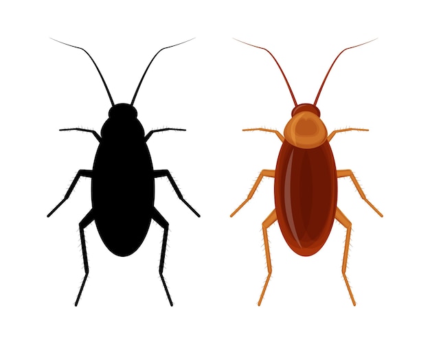 Vista de cucaracha desde arriba la imagen de una cucaracha en forma de silueta y en una caricatura