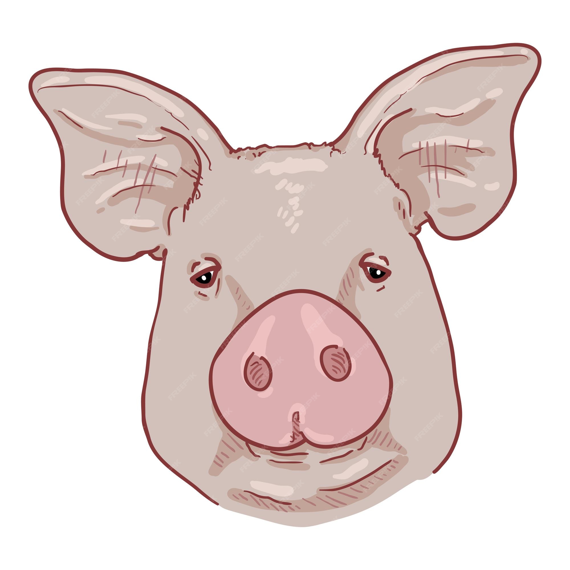 Vista frontal de cara de cerdo de dibujos animados de vector | Vector Premium Vista frontal de cara de cerdo de dibujos animados de vector | Vector Premium