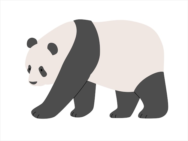 Vista lateral de una ilustración de estilo simple dibujado a mano panda caminando